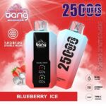 high quality bang 25000 puff disposable vape factory direct