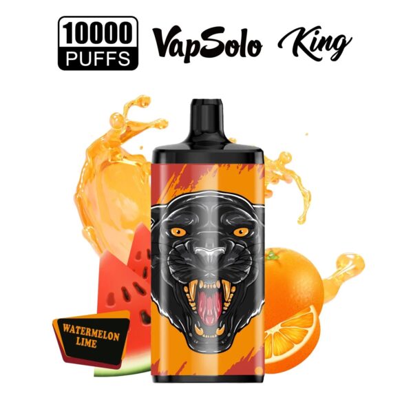 high quality vapsolo king(10k puffs) puff disposable vape factory direct